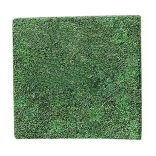 Boxwood Champagne Panel Backdrop - 4' x 8' | Rental