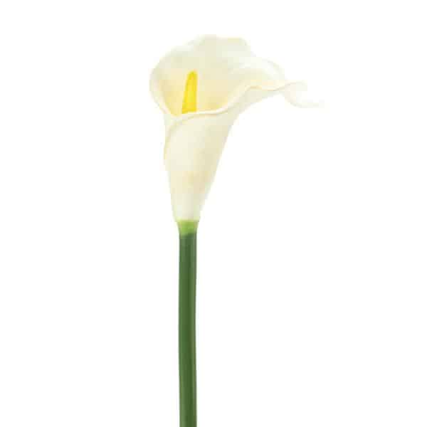 Decostar™ Artificial Calla 24" - White | Rental