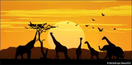 African Animal Sunset | Rental