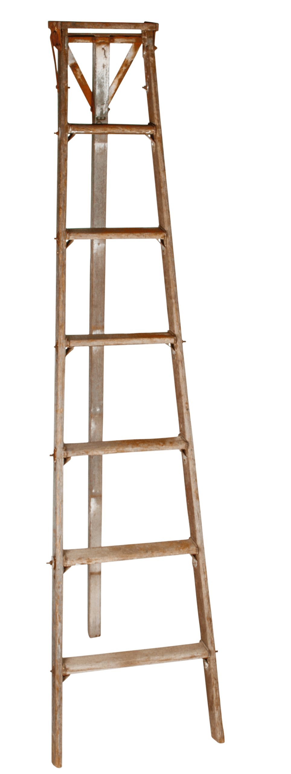 Ladder Natural Fruit Picking - 7' | Rental